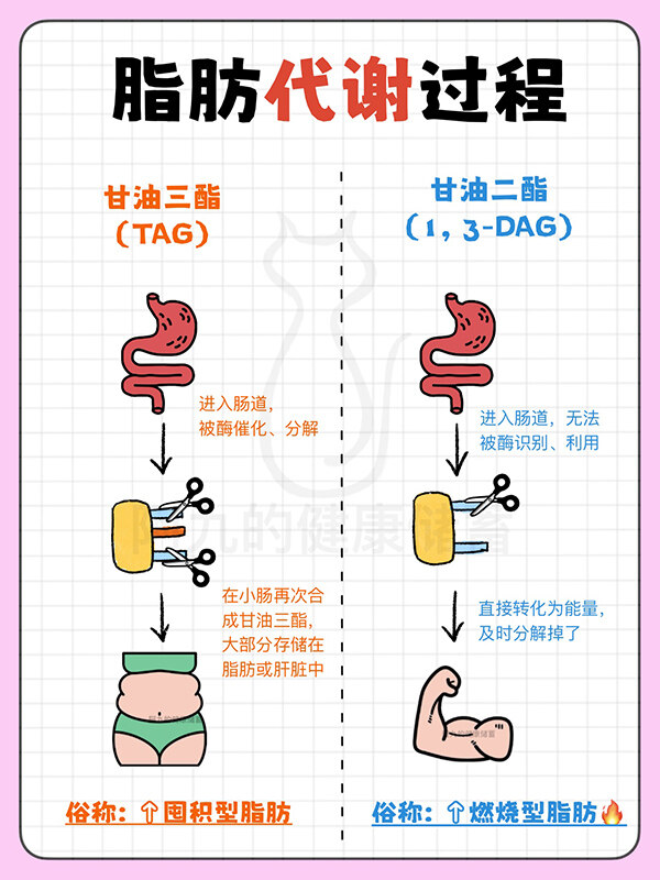 自動(dòng)插件機(jī)完美解決電子廠招工難問(wèn)題